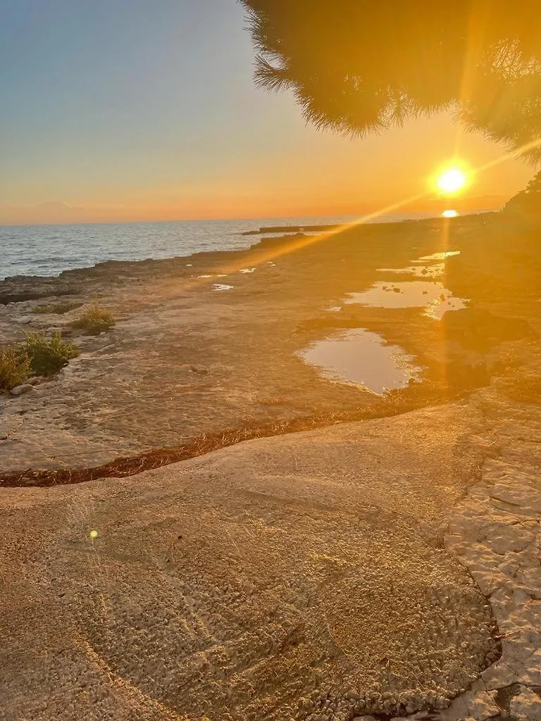 Apartment Apartements Sarah Novigrad  Croatia