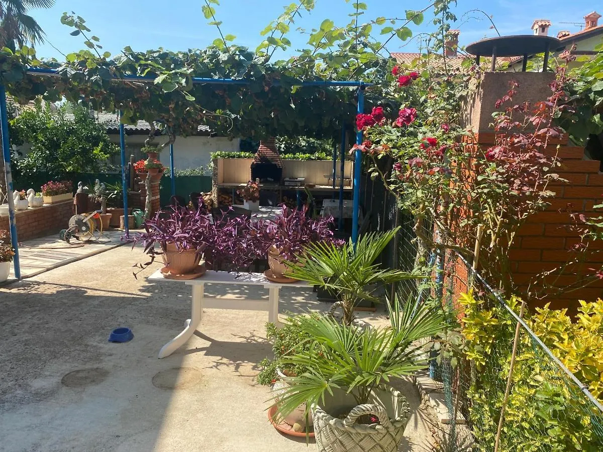 Apartements Sarah Novigrad  Croatia