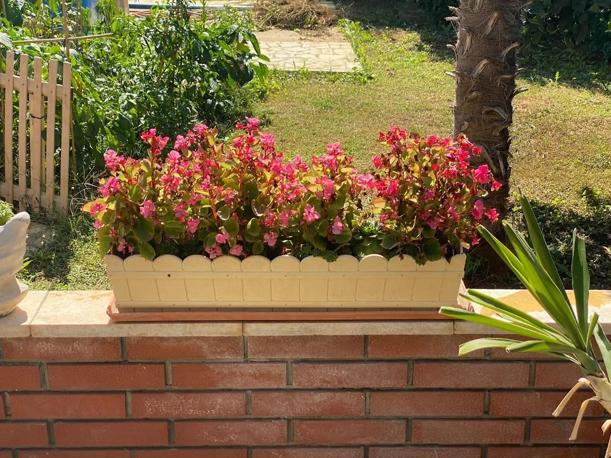 Apartements Sarah Novigrad  Apartment Novigrad (Istria)
