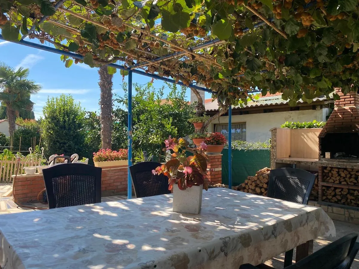Apartment Apartements Sarah Novigrad  Croatia